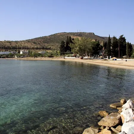 στέλλα Βόλος